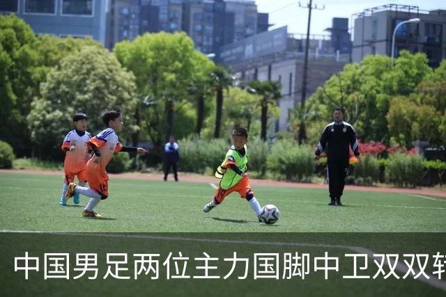 中国男足两位主力国脚中卫双双转会山东足坛，新赛季挑起重担引关注